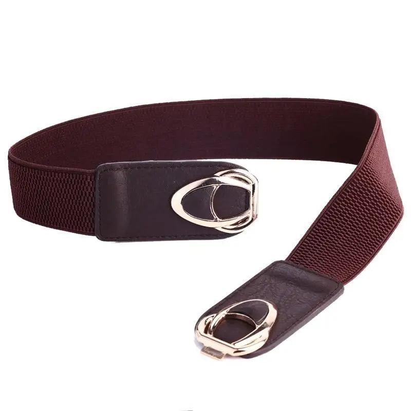 Luxury Elastic PU Leather Wide Belt Stretchy Plus Size Women Waistband